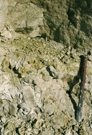 Dania, sydvg 1975 gravegange ned i Cerithiumkalk