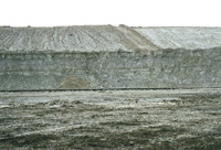 Dania, vestvæg 1975