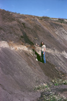 Nørre Vissing 1977