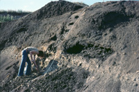 Nørre Vissing 1977