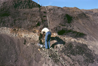 Nørre Vissing 1977